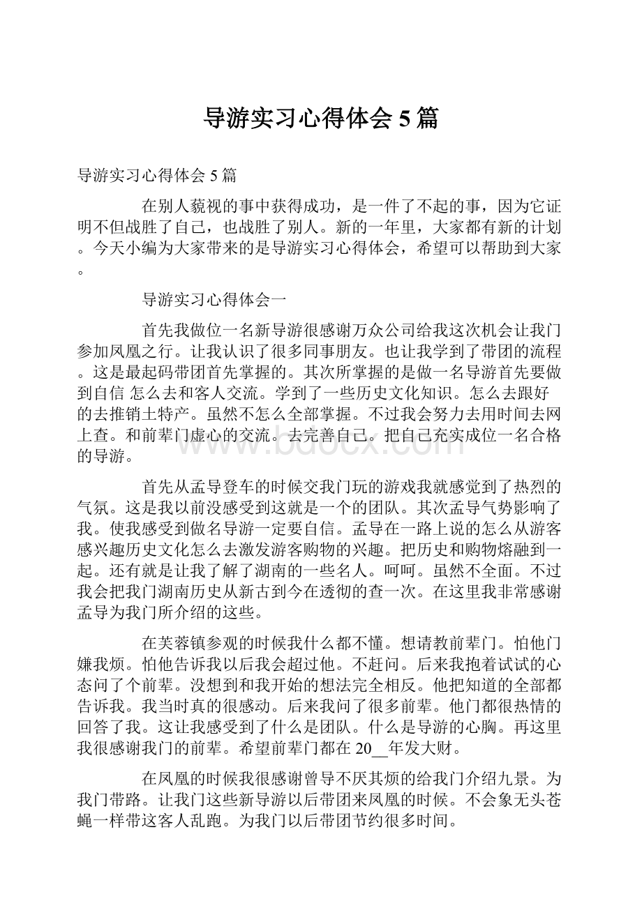 导游实习心得体会5篇.docx