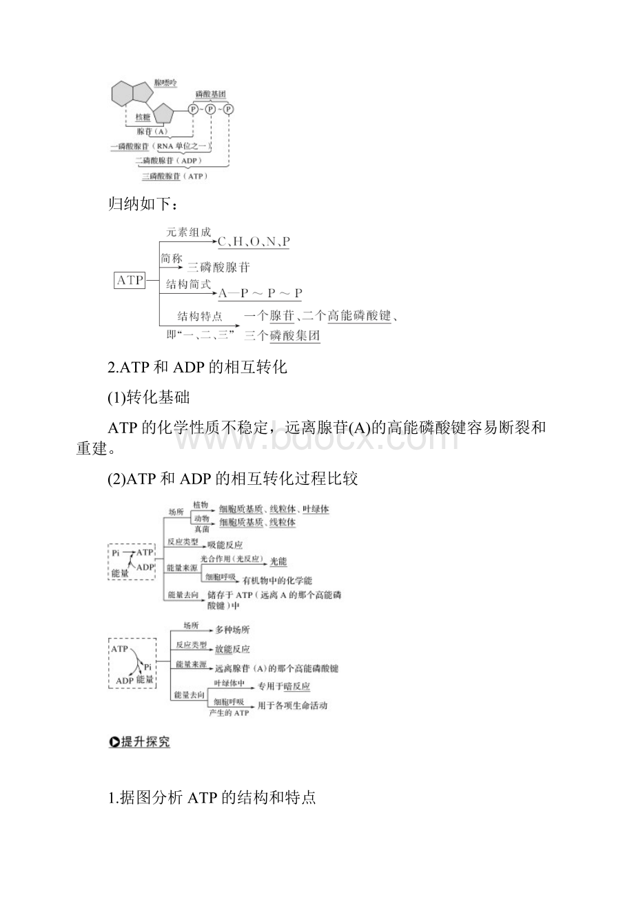 届 一轮复习人教版ATP与细胞呼吸学案.docx_第2页