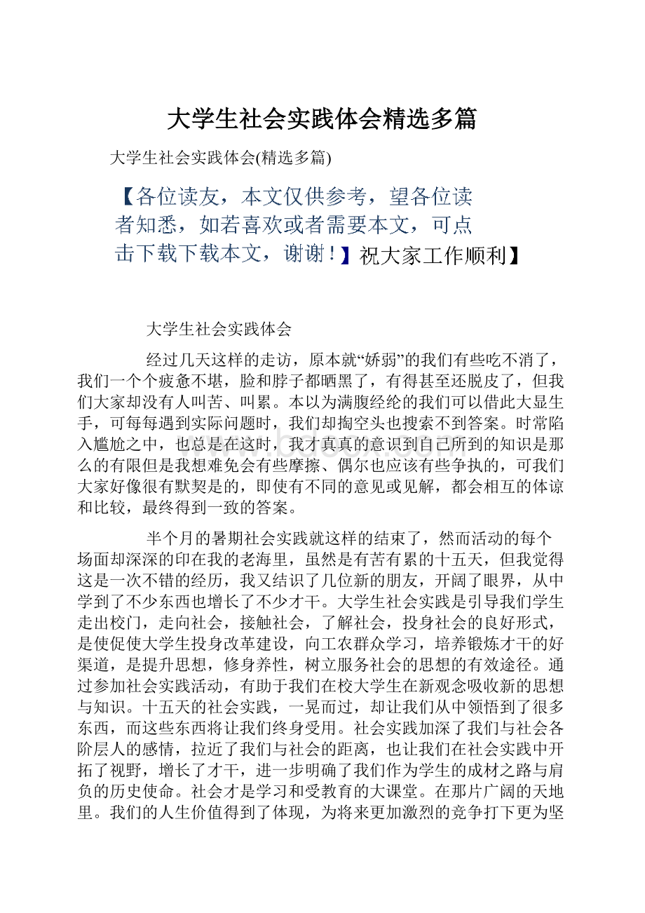 大学生社会实践体会精选多篇.docx