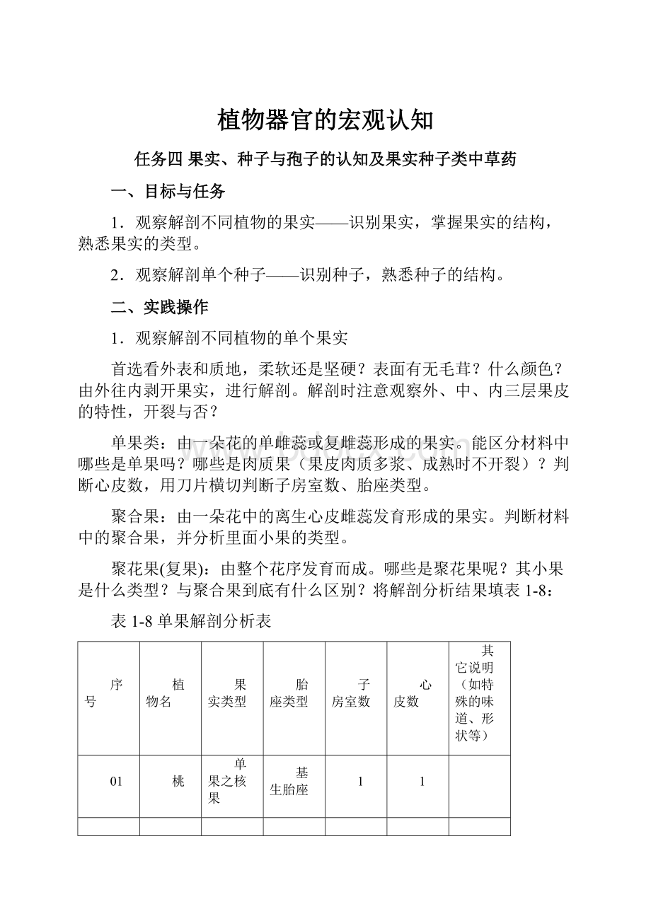 植物器官的宏观认知.docx_第1页