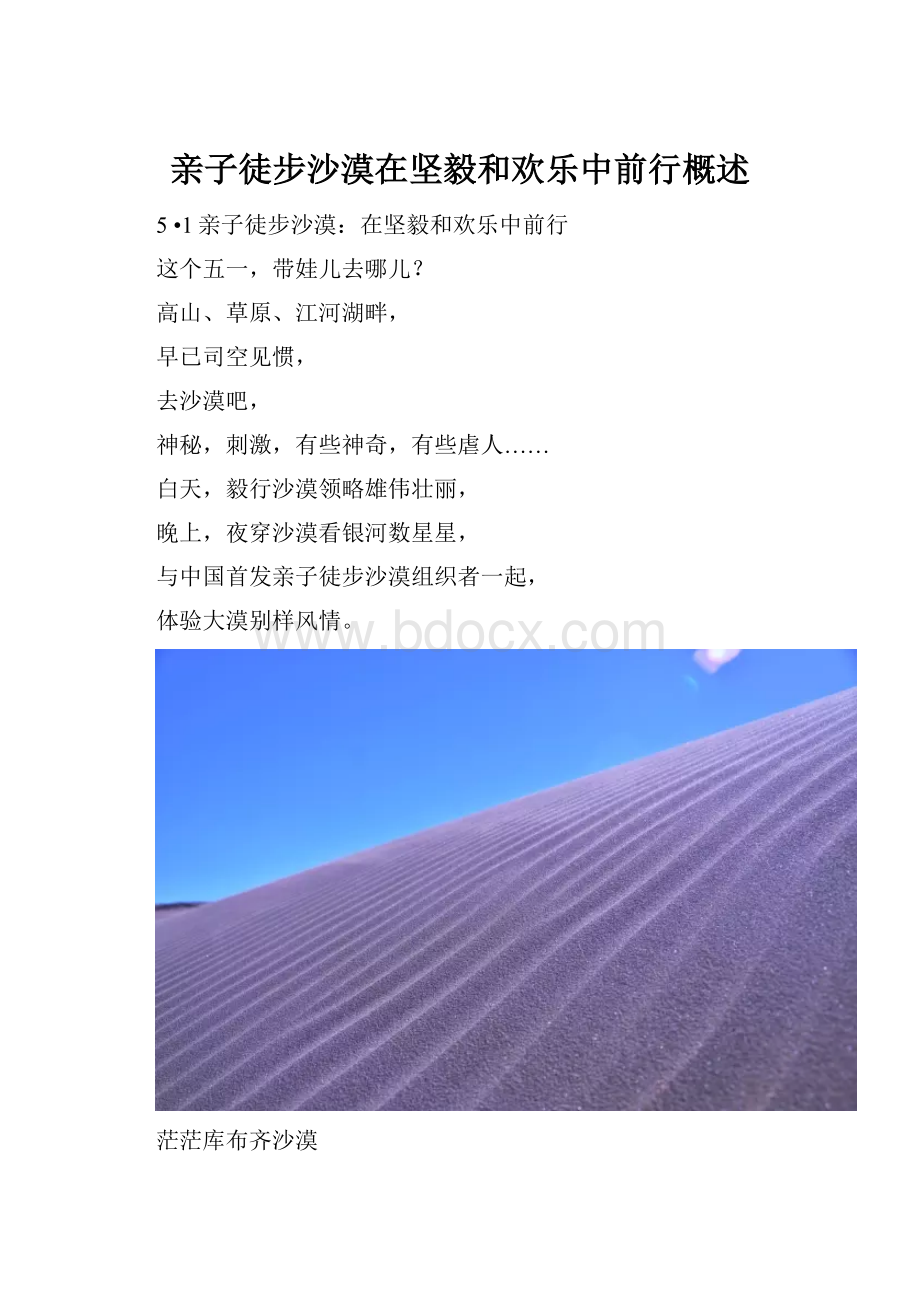 亲子徒步沙漠在坚毅和欢乐中前行概述.docx