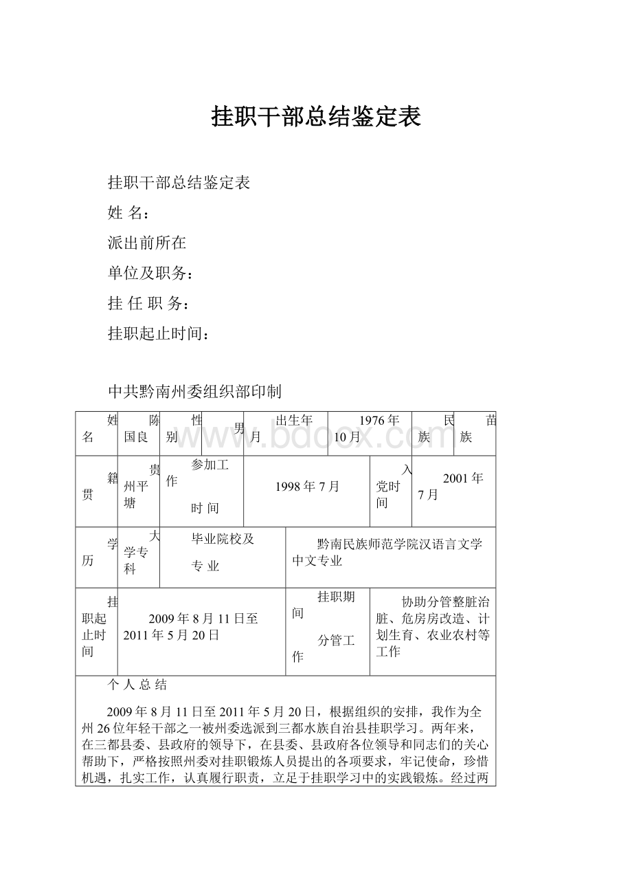 挂职干部总结鉴定表.docx