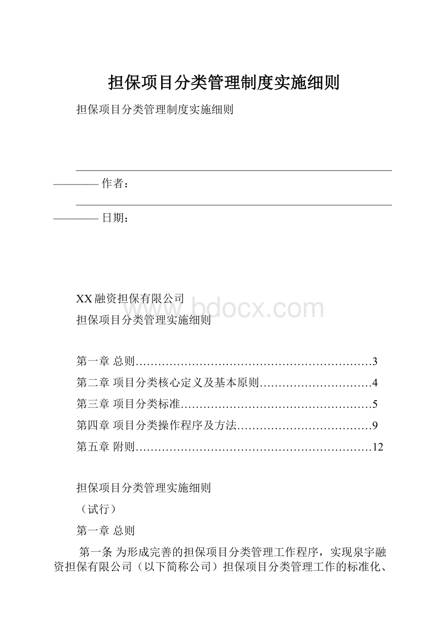 担保项目分类管理制度实施细则.docx