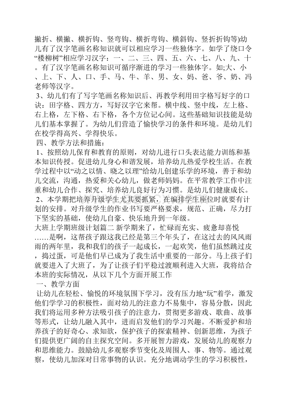 大班上学期个人班级计划工作计划.docx_第2页