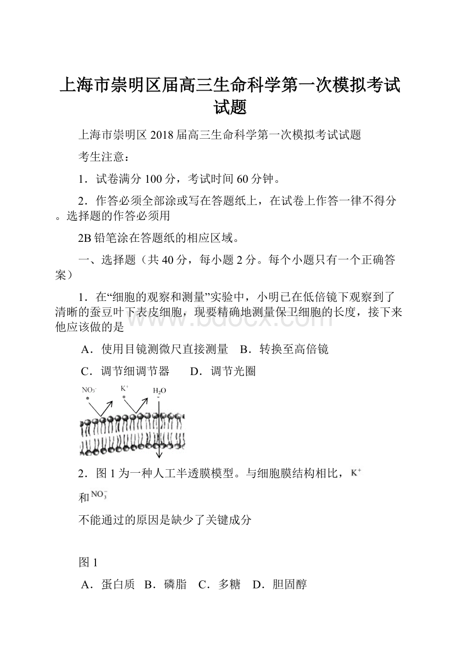 上海市崇明区届高三生命科学第一次模拟考试试题.docx_第1页