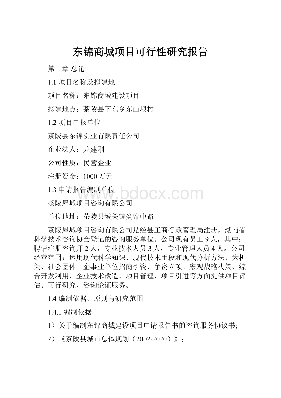 东锦商城项目可行性研究报告.docx