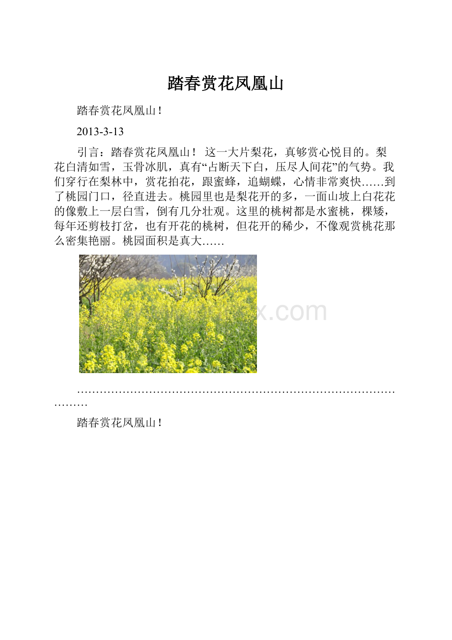 踏春赏花凤凰山.docx