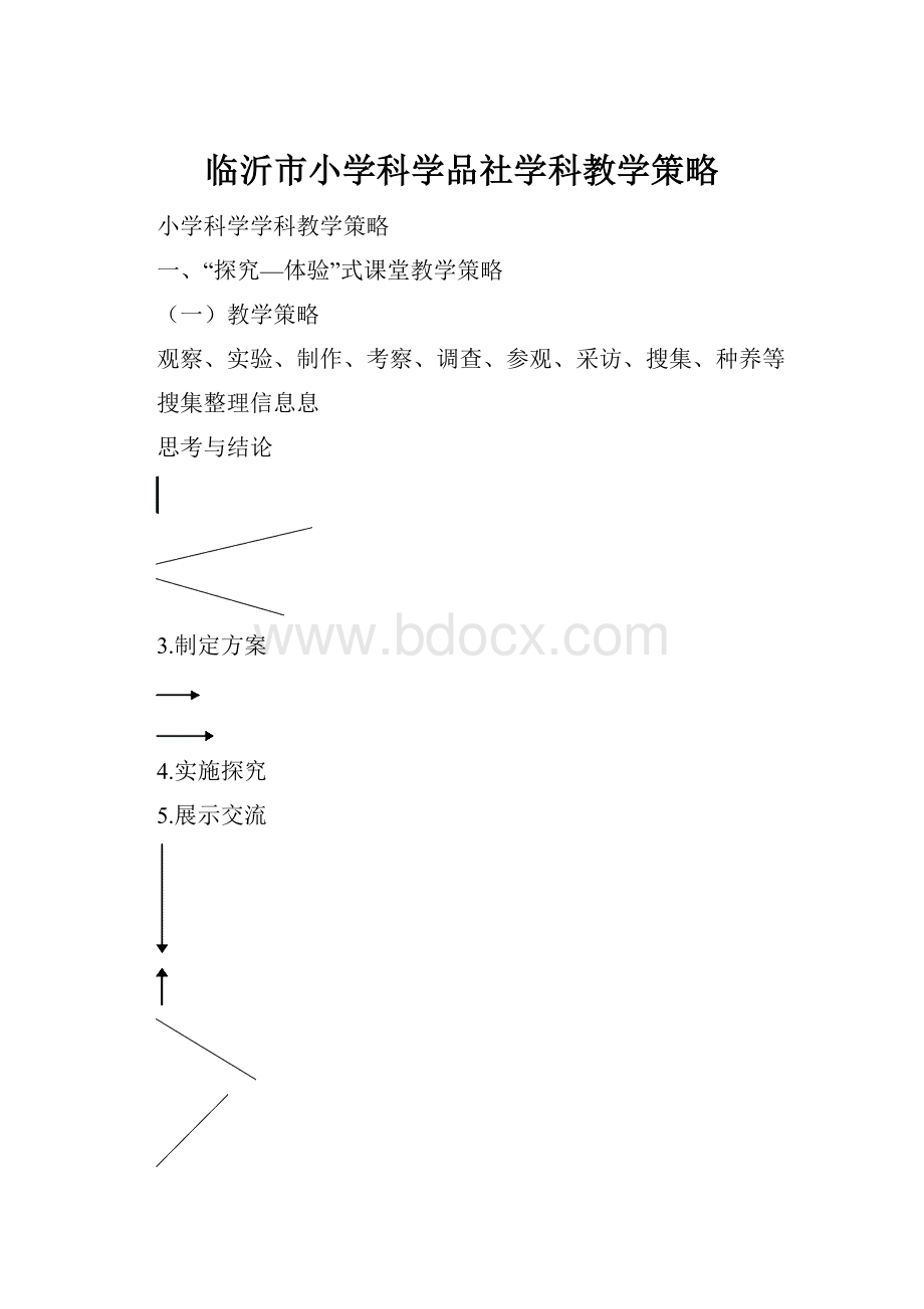 临沂市小学科学品社学科教学策略.docx