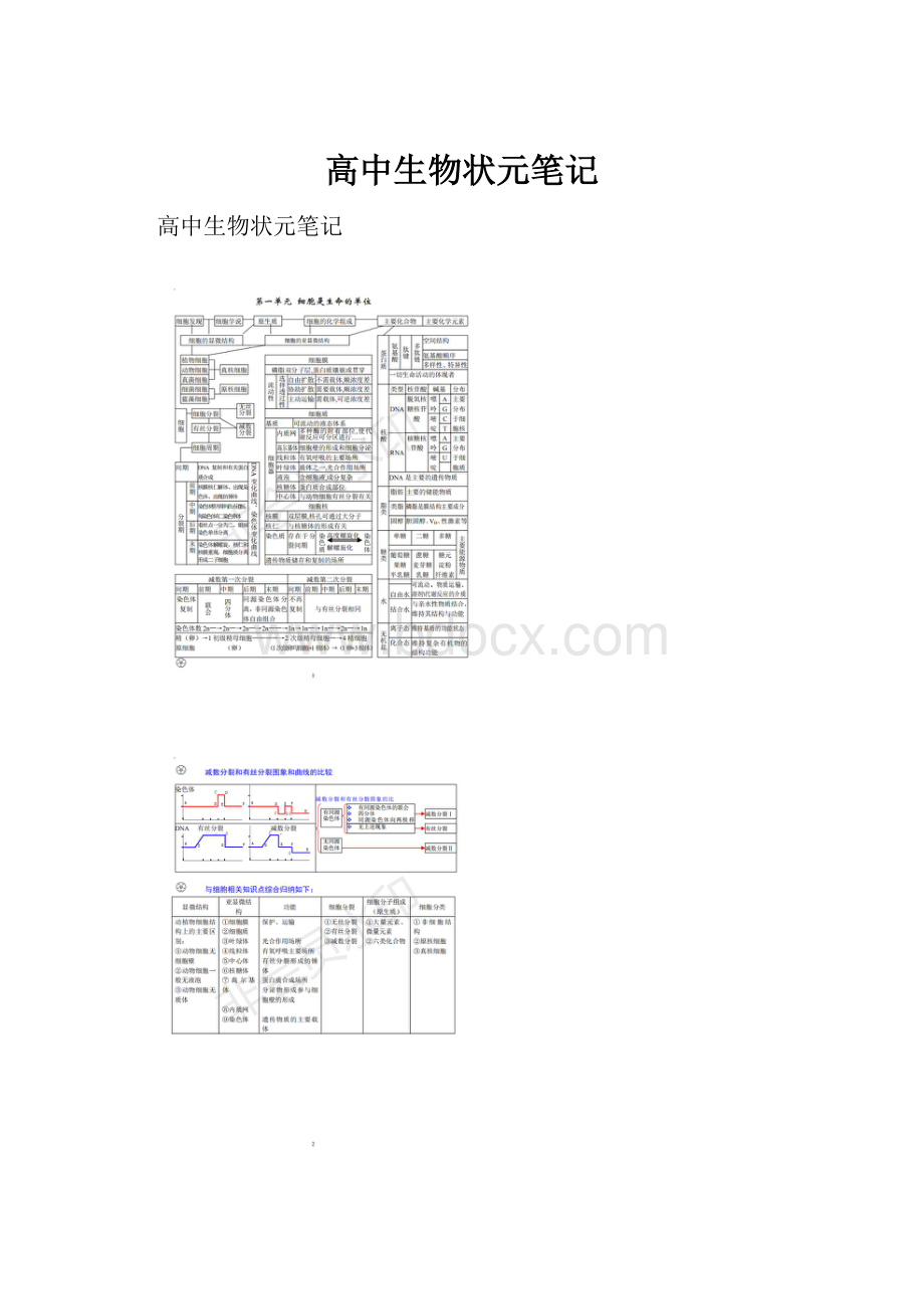 高中生物状元笔记.docx_第1页