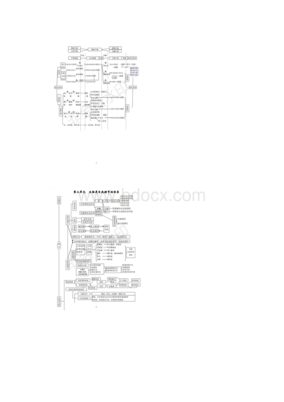 高中生物状元笔记.docx_第3页