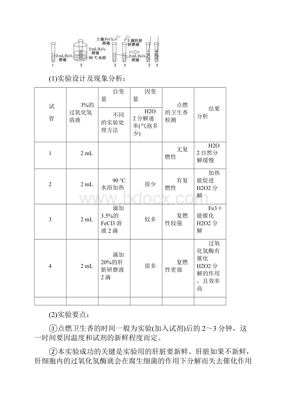 学年高中生物北师大版必修一教学案第4章 第1节 生物催化剂酶 Word版含答案.docx_第3页