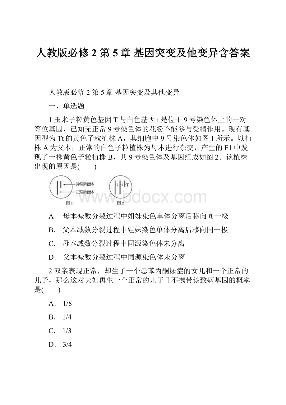 人教版必修2第5章 基因突变及他变异含答案.docx