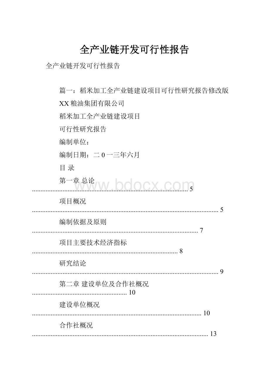 全产业链开发可行性报告.docx