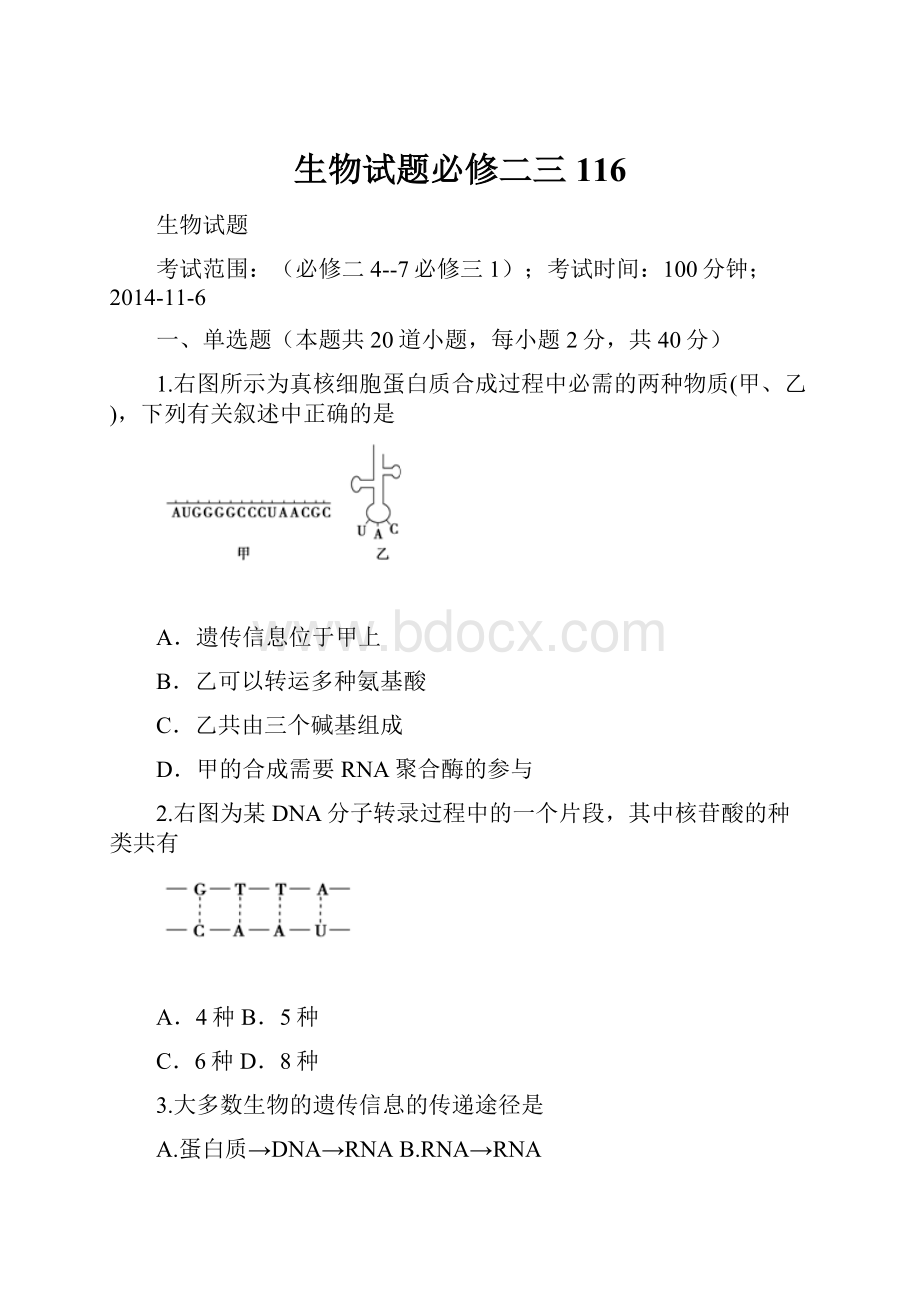 生物试题必修二三116.docx