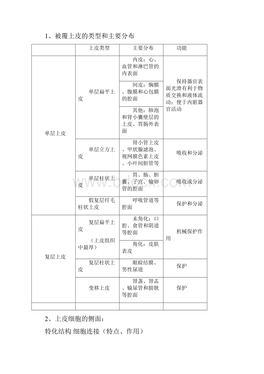 人体组织学与胚胎学重点.docx_第2页