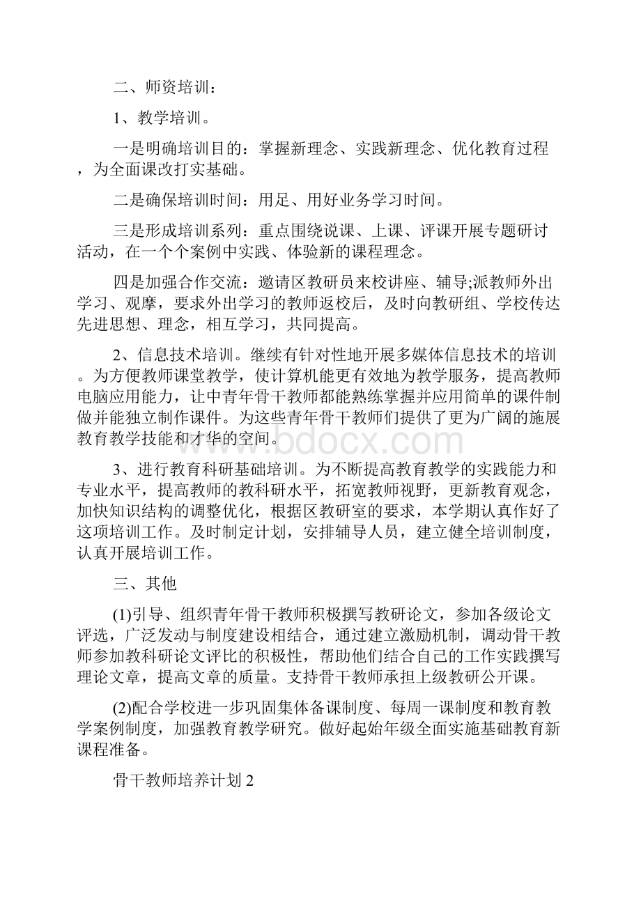 骨干教师培养计划总结多篇新版doc.docx_第2页