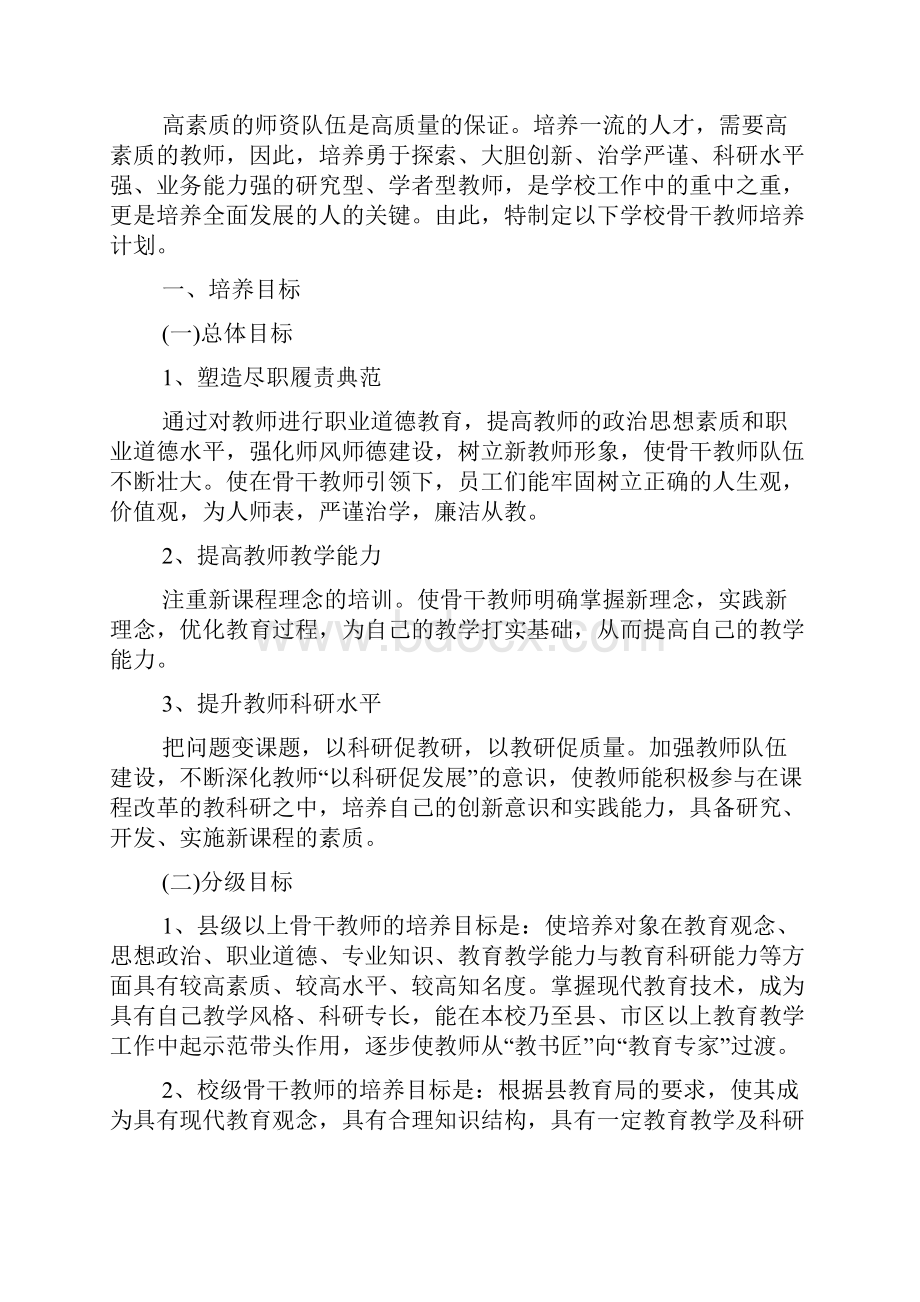 骨干教师培养计划总结多篇新版doc.docx_第3页