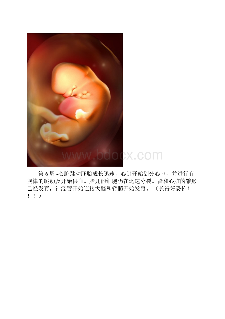 整理的婴儿发育图供大家参考.docx_第3页