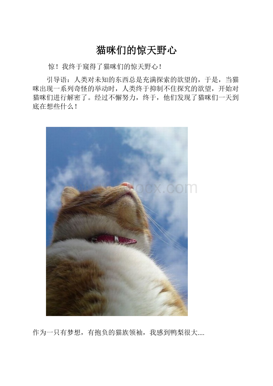 猫咪们的惊天野心.docx