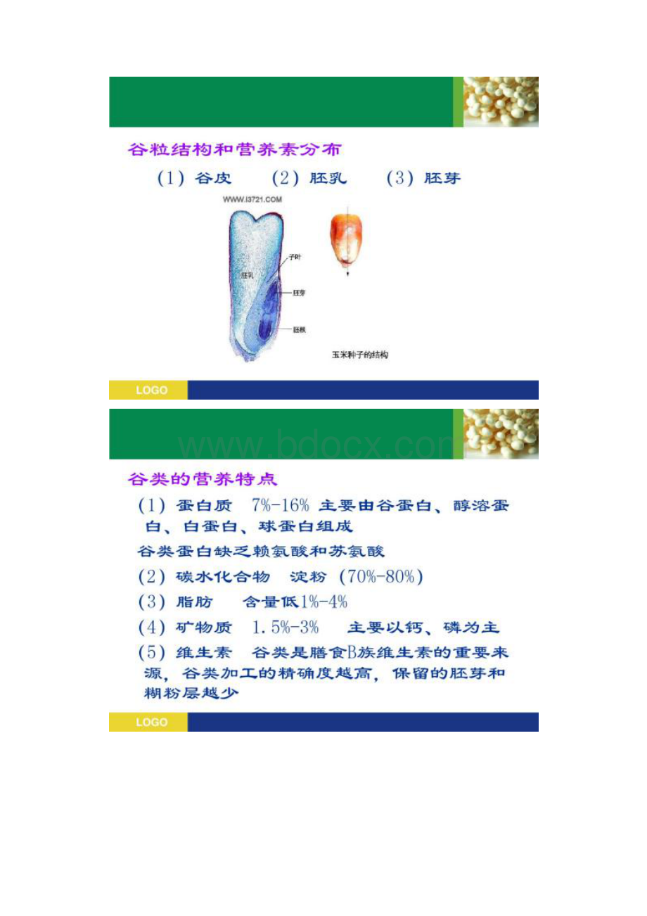 谷类豆类食品的营养和保健作用.docx_第2页