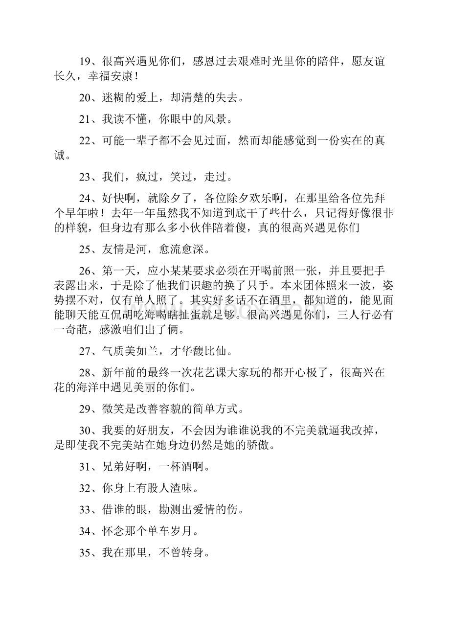 很高兴遇见你文艺句子.docx_第2页