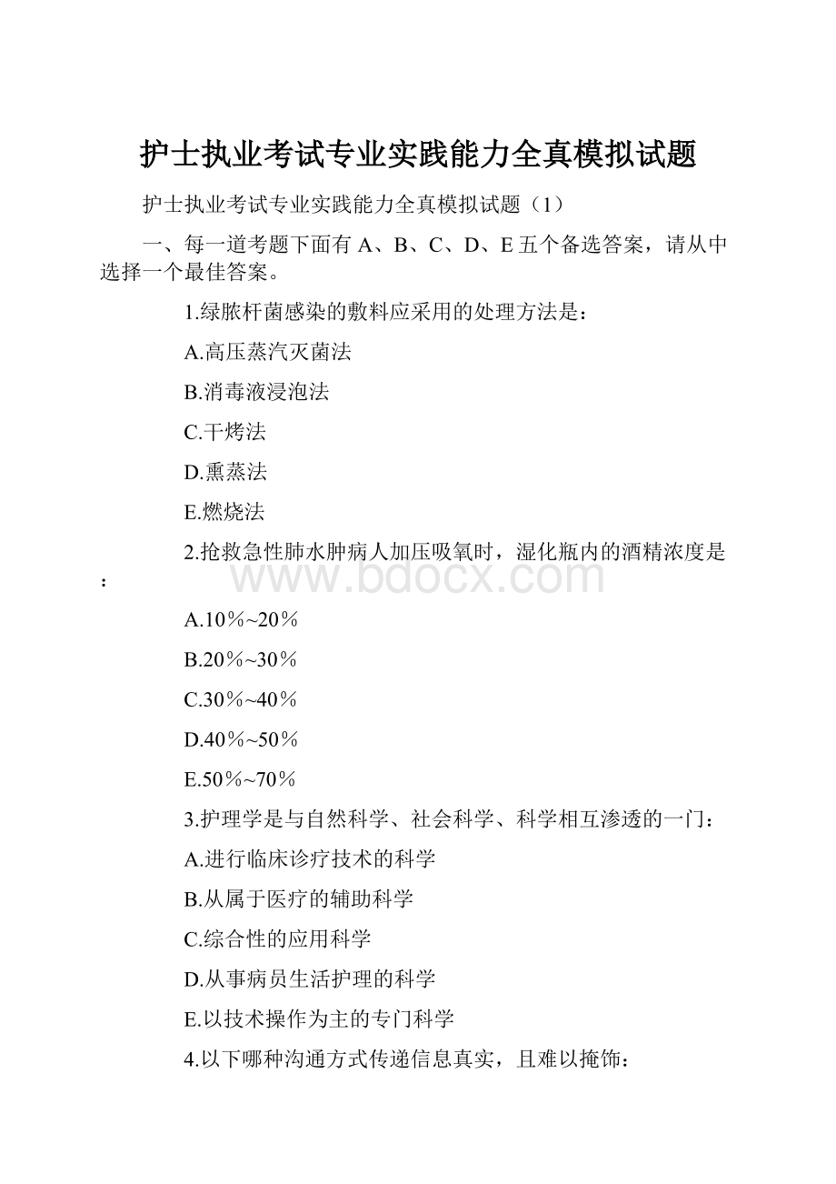 护士执业考试专业实践能力全真模拟试题.docx