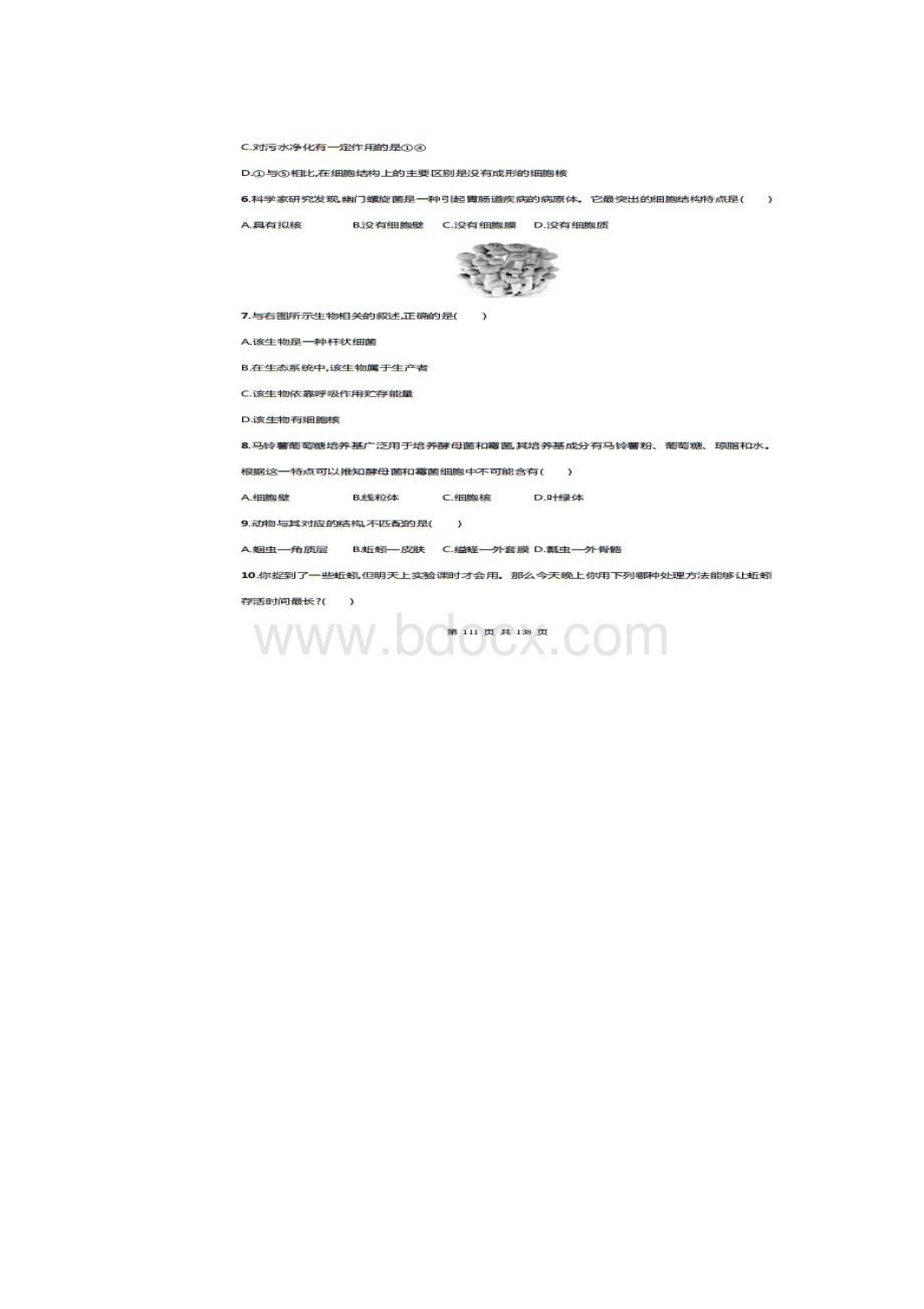 初二生物上册易错题汇总主题八生物的多样性附答案.docx_第2页