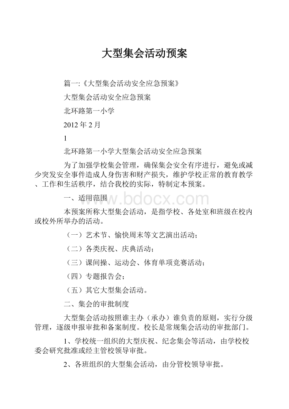 大型集会活动预案.docx_第1页