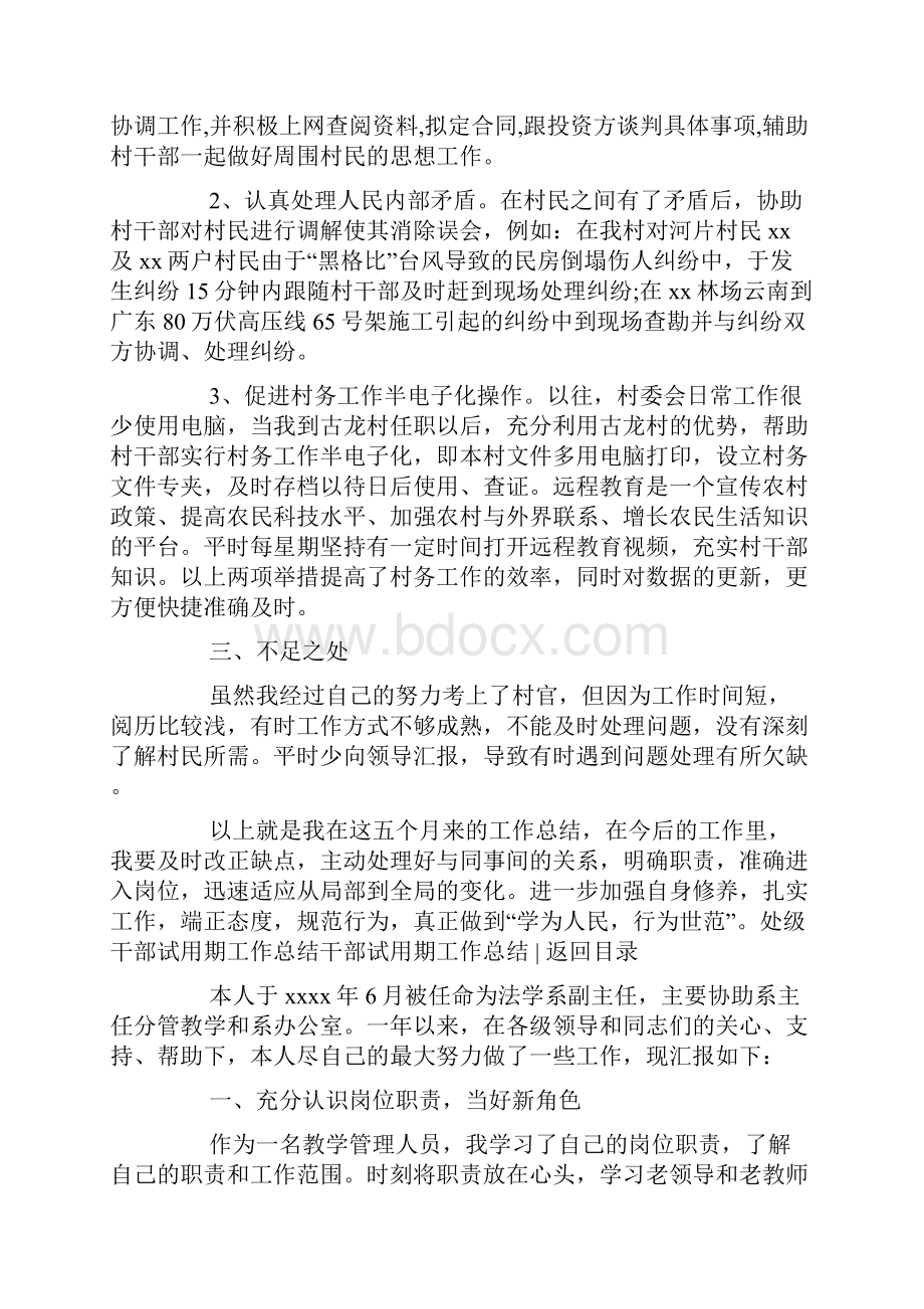 干部试用期工作总结4篇.docx_第2页