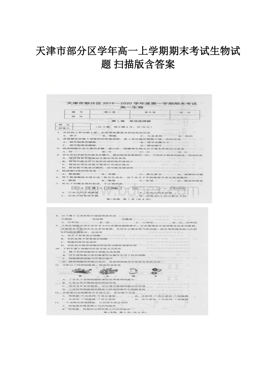 天津市部分区学年高一上学期期末考试生物试题 扫描版含答案.docx