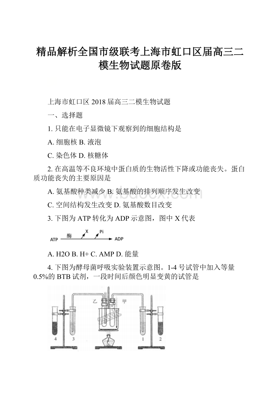 精品解析全国市级联考上海市虹口区届高三二模生物试题原卷版.docx