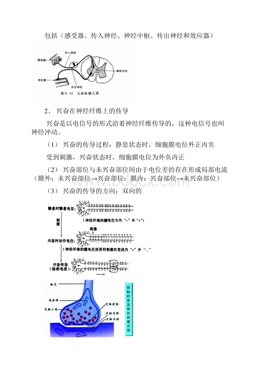 高中生物会考知识点总结依据目标要求必修三.docx_第3页