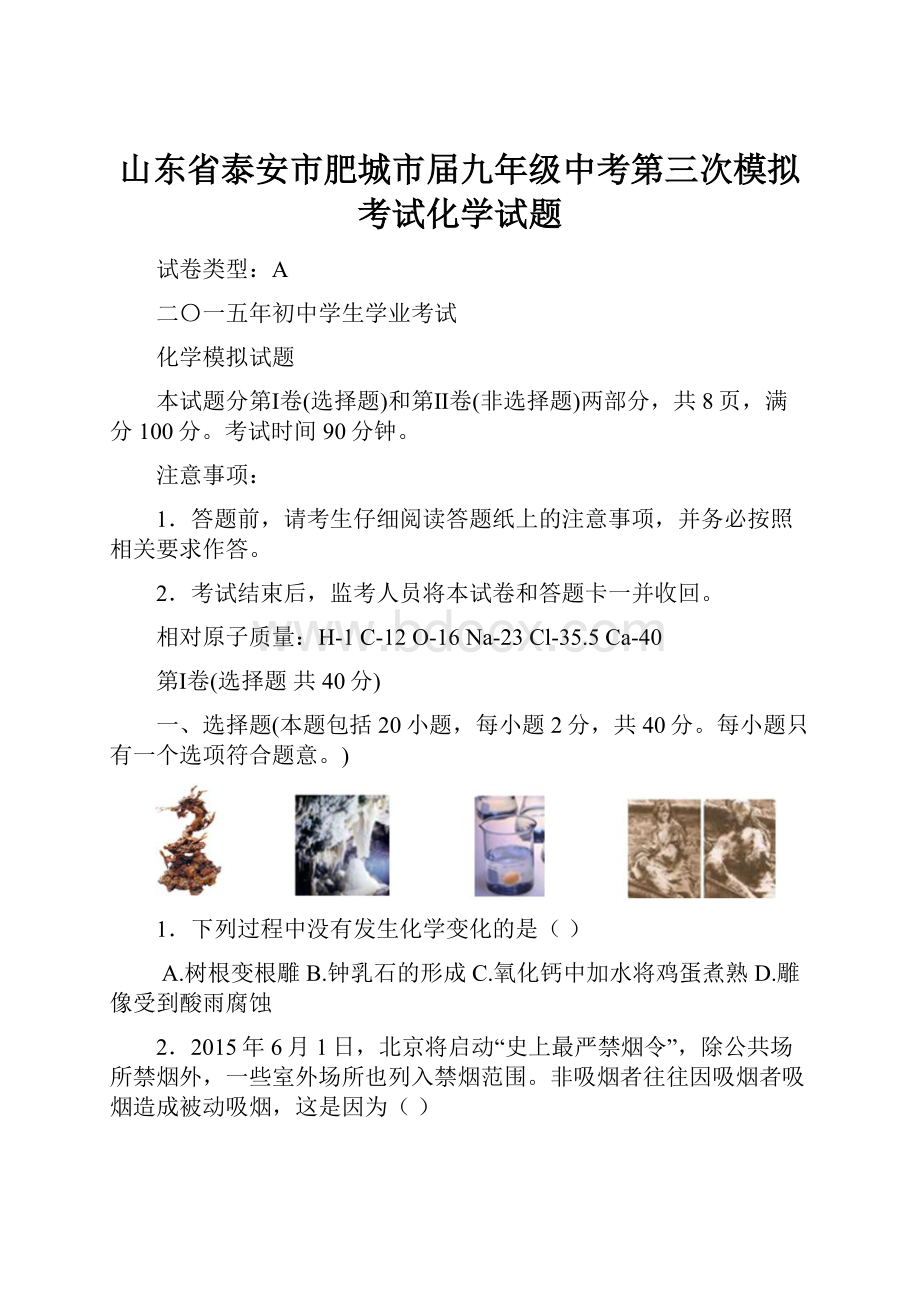 山东省泰安市肥城市届九年级中考第三次模拟考试化学试题.docx