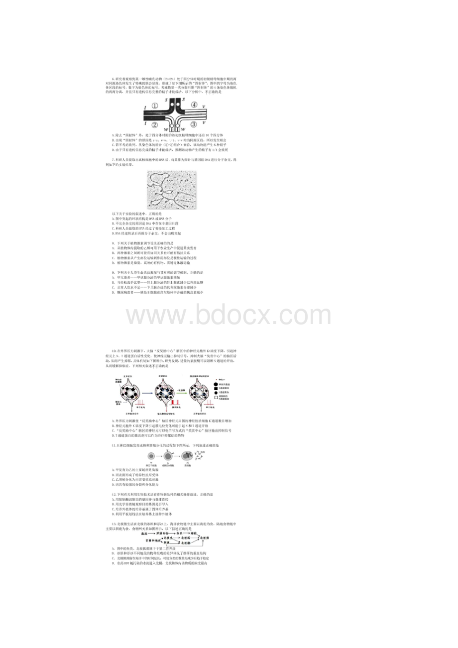 北京十一学校届高三学部教与学质量诊断 生物含答案.docx_第2页