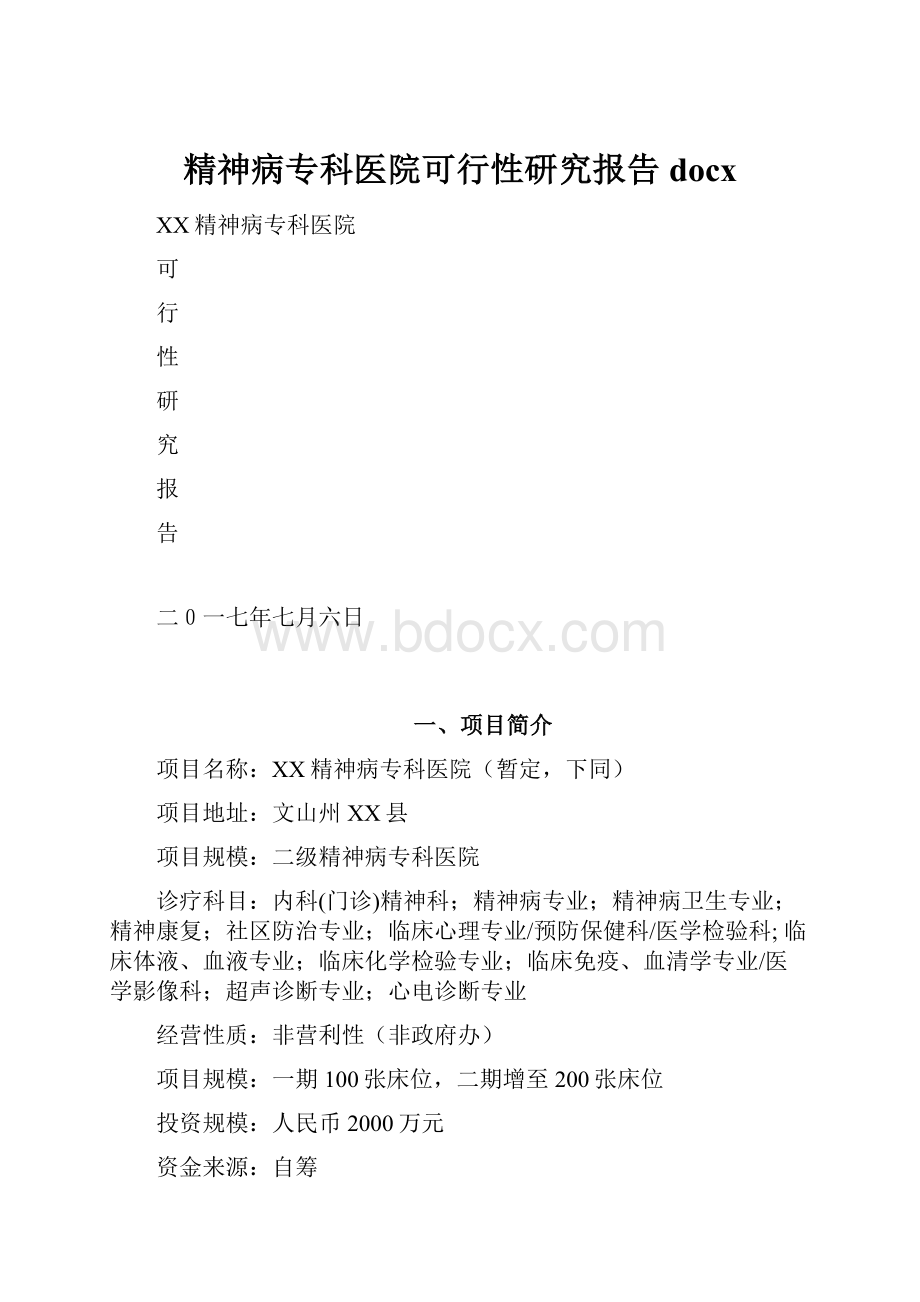 精神病专科医院可行性研究报告docx.docx