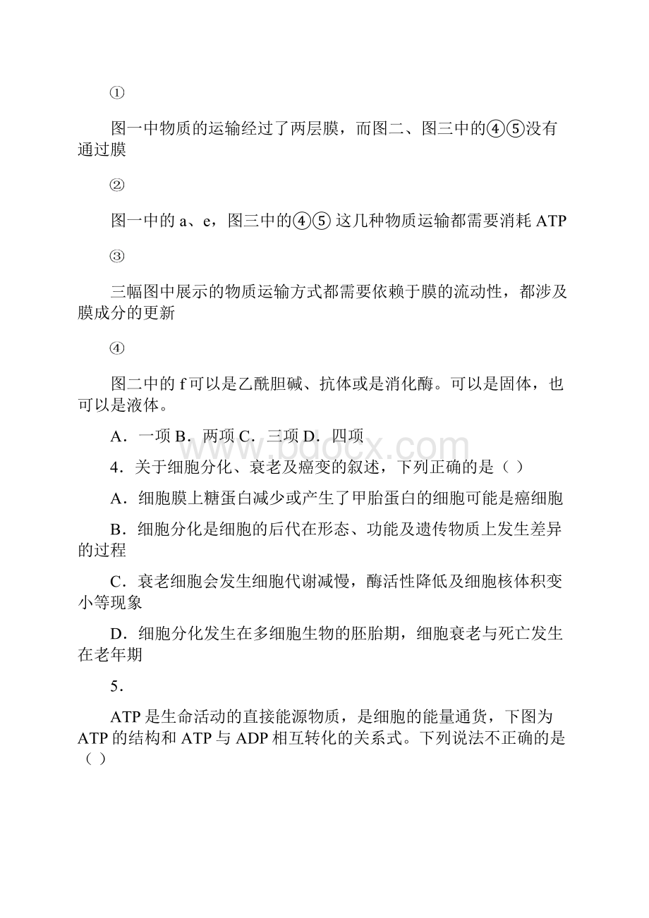 湖北省枣阳市学年高一生物下册开学考试题.docx_第2页