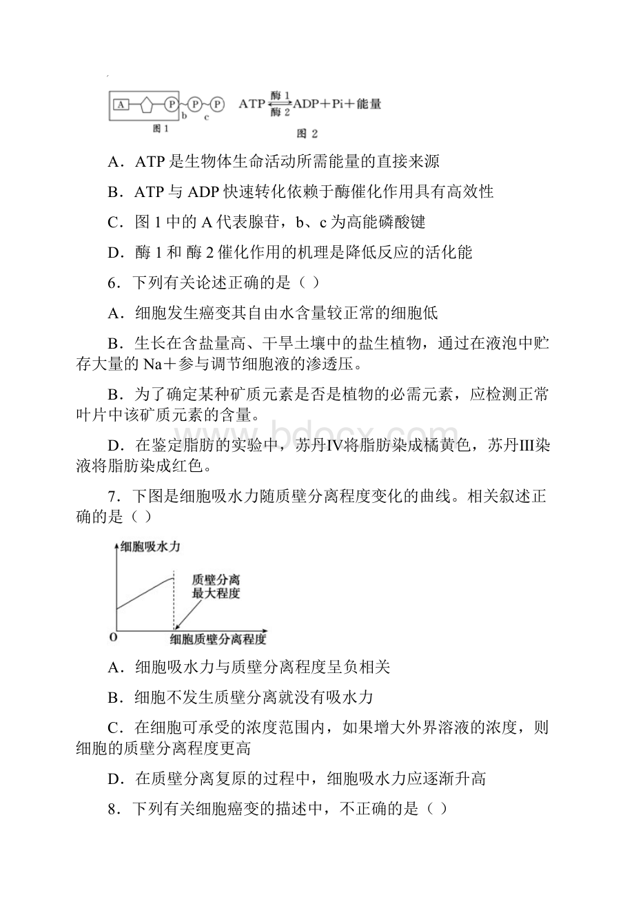 湖北省枣阳市学年高一生物下册开学考试题.docx_第3页