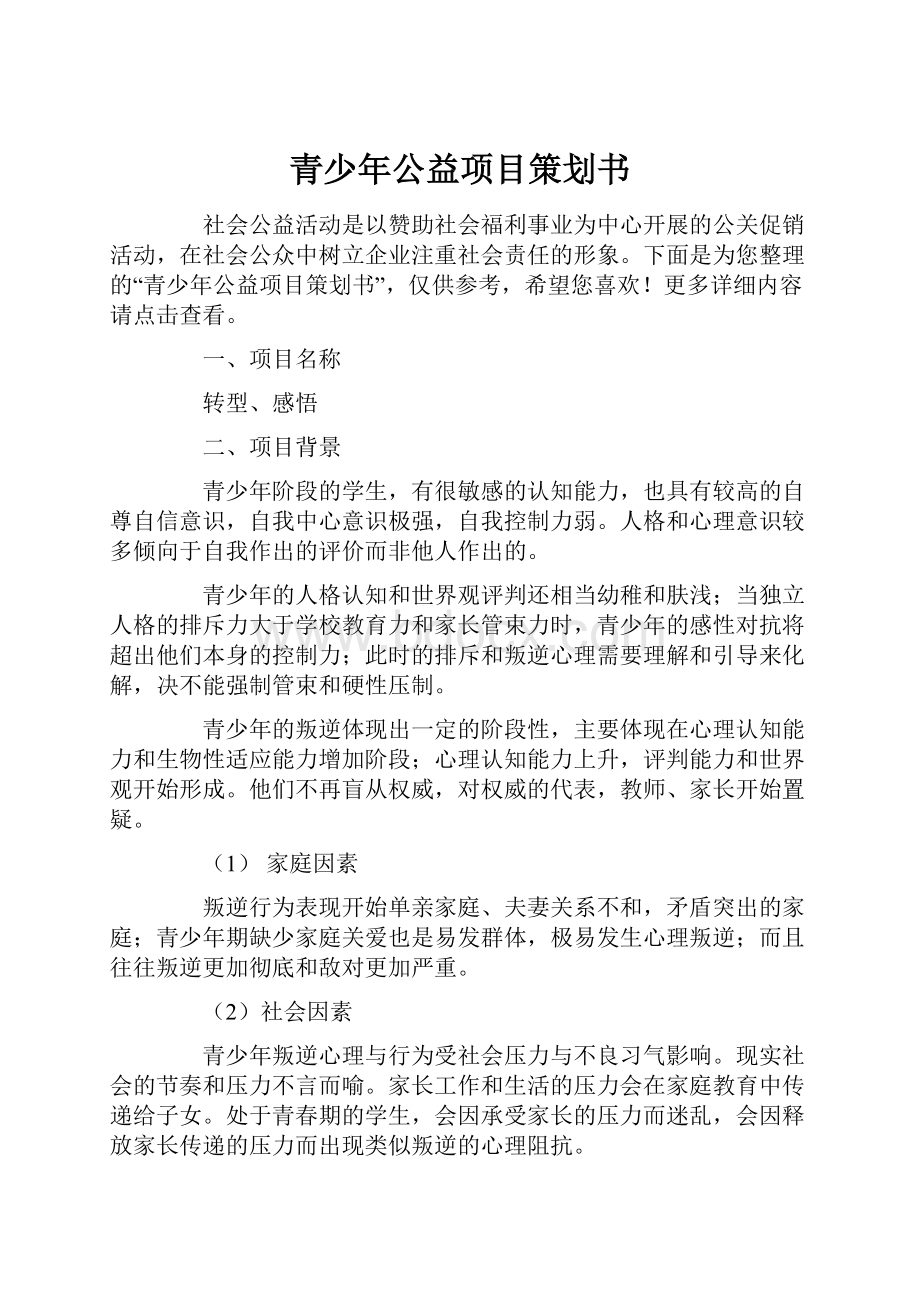 青少年公益项目策划书.docx_第1页