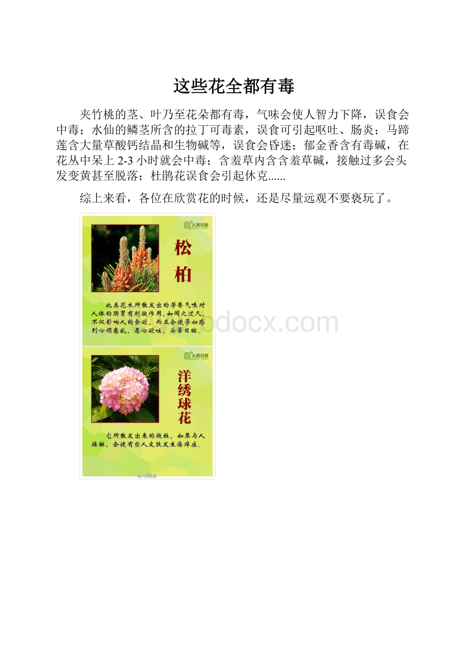 这些花全都有毒.docx_第1页