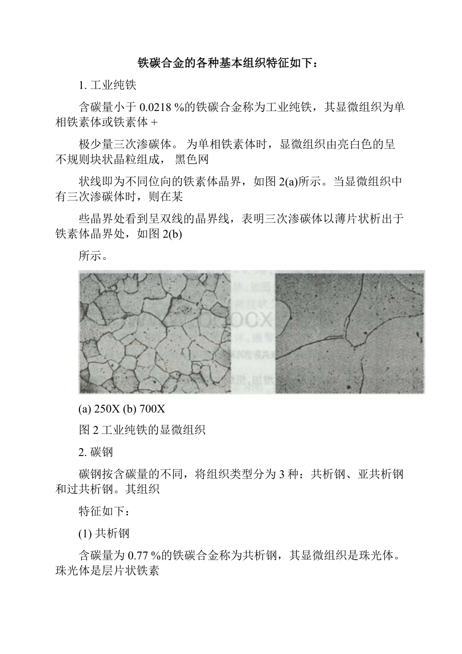 实验一铁碳合金平衡组织的观察与分析.docx_第3页