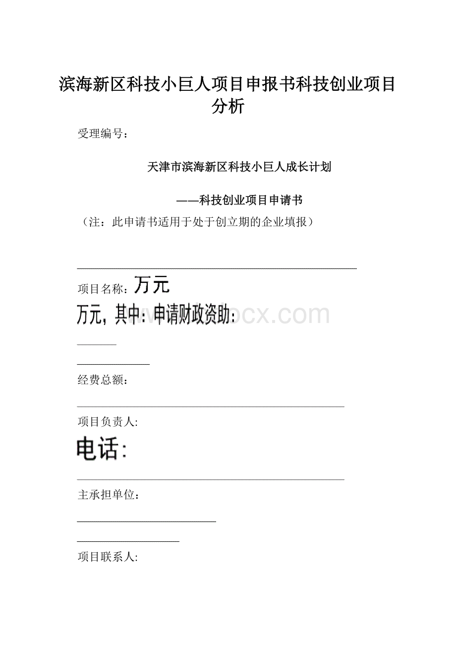 滨海新区科技小巨人项目申报书科技创业项目分析.docx_第1页