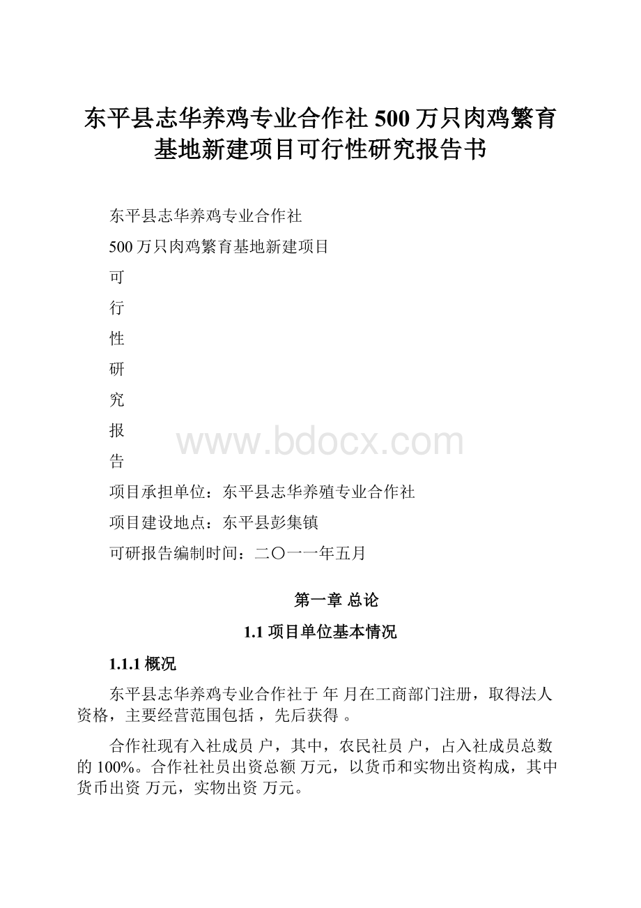 东平县志华养鸡专业合作社500万只肉鸡繁育基地新建项目可行性研究报告书.docx