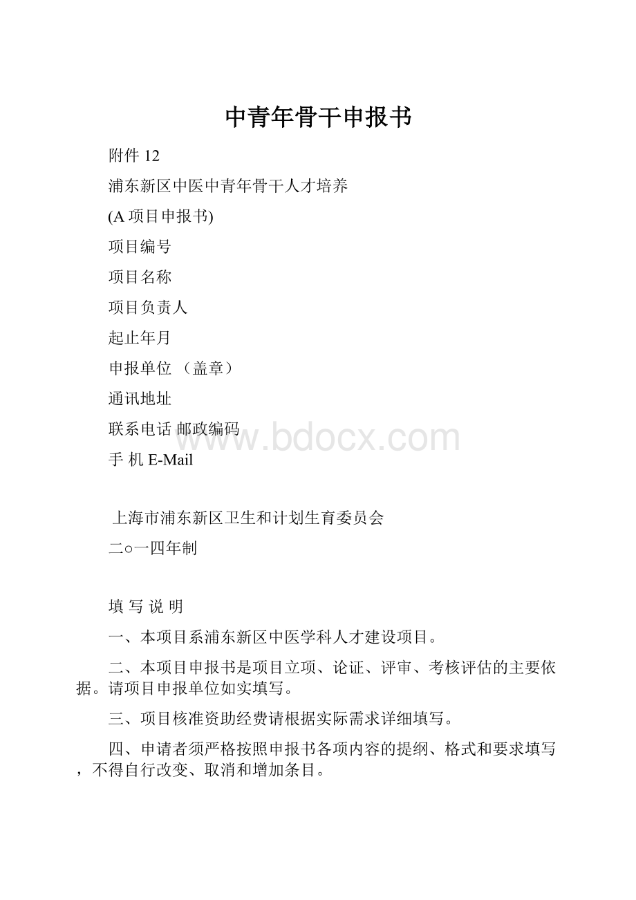 中青年骨干申报书.docx