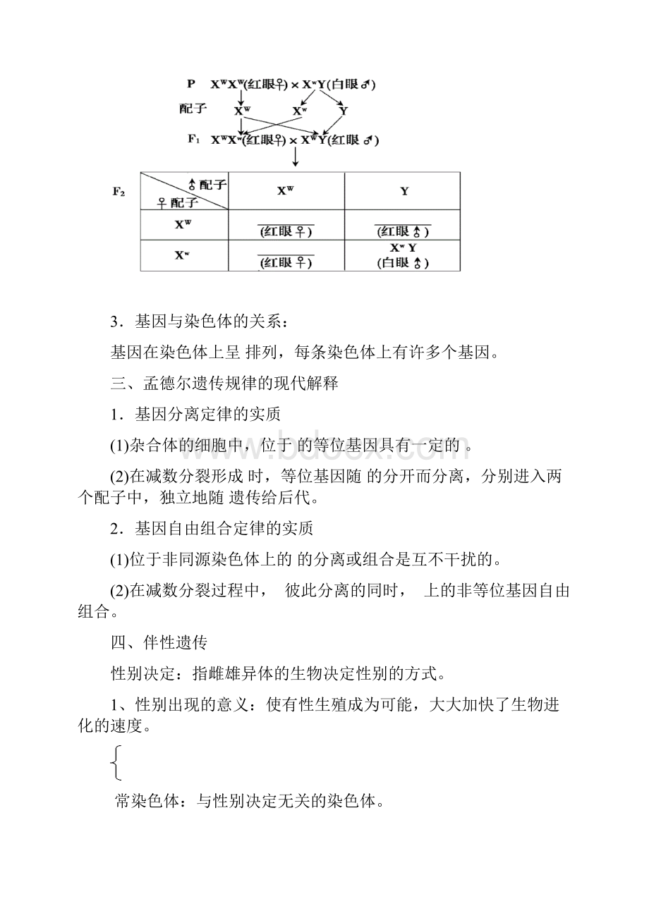 第 18 讲 生物一轮复习基因在染色体上和伴性遗传.docx_第2页