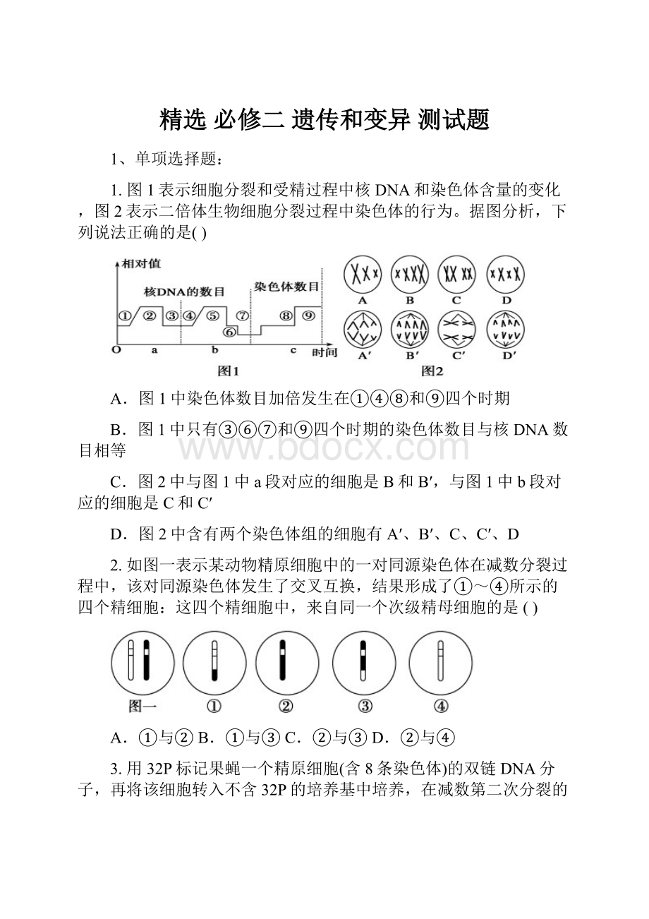 精选 必修二 遗传和变异 测试题.docx_第1页