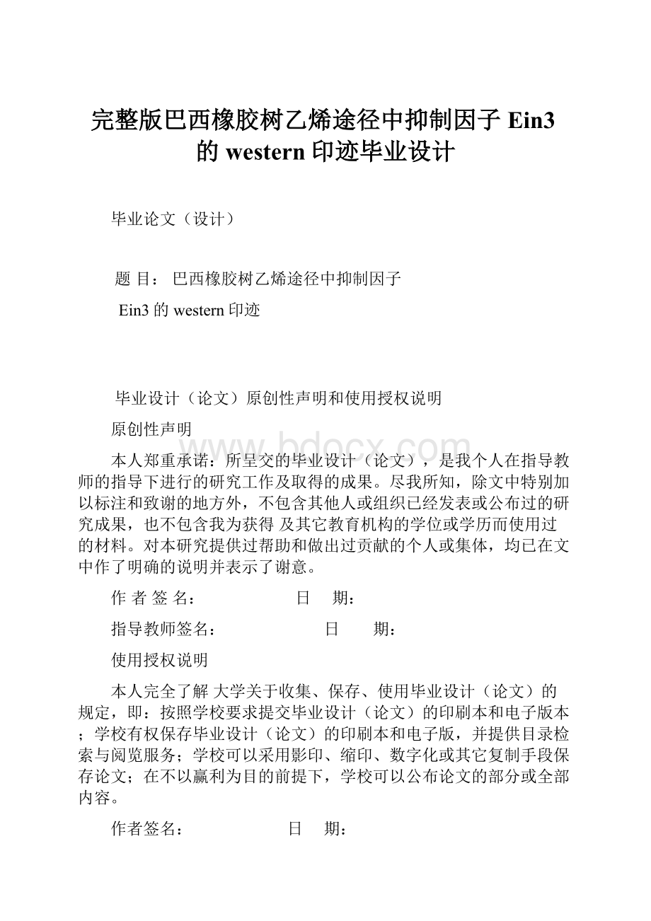 完整版巴西橡胶树乙烯途径中抑制因子Ein3的western印迹毕业设计.docx