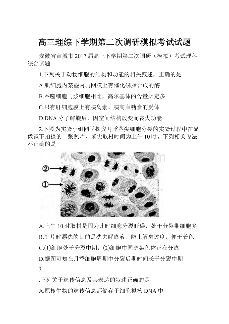 高三理综下学期第二次调研模拟考试试题.docx