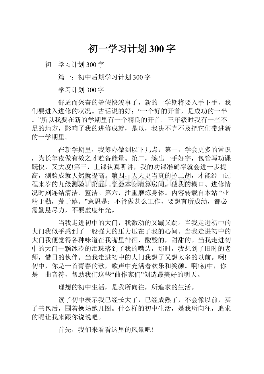 初一学习计划300字.docx