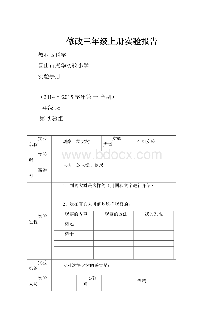 修改三年级上册实验报告.docx