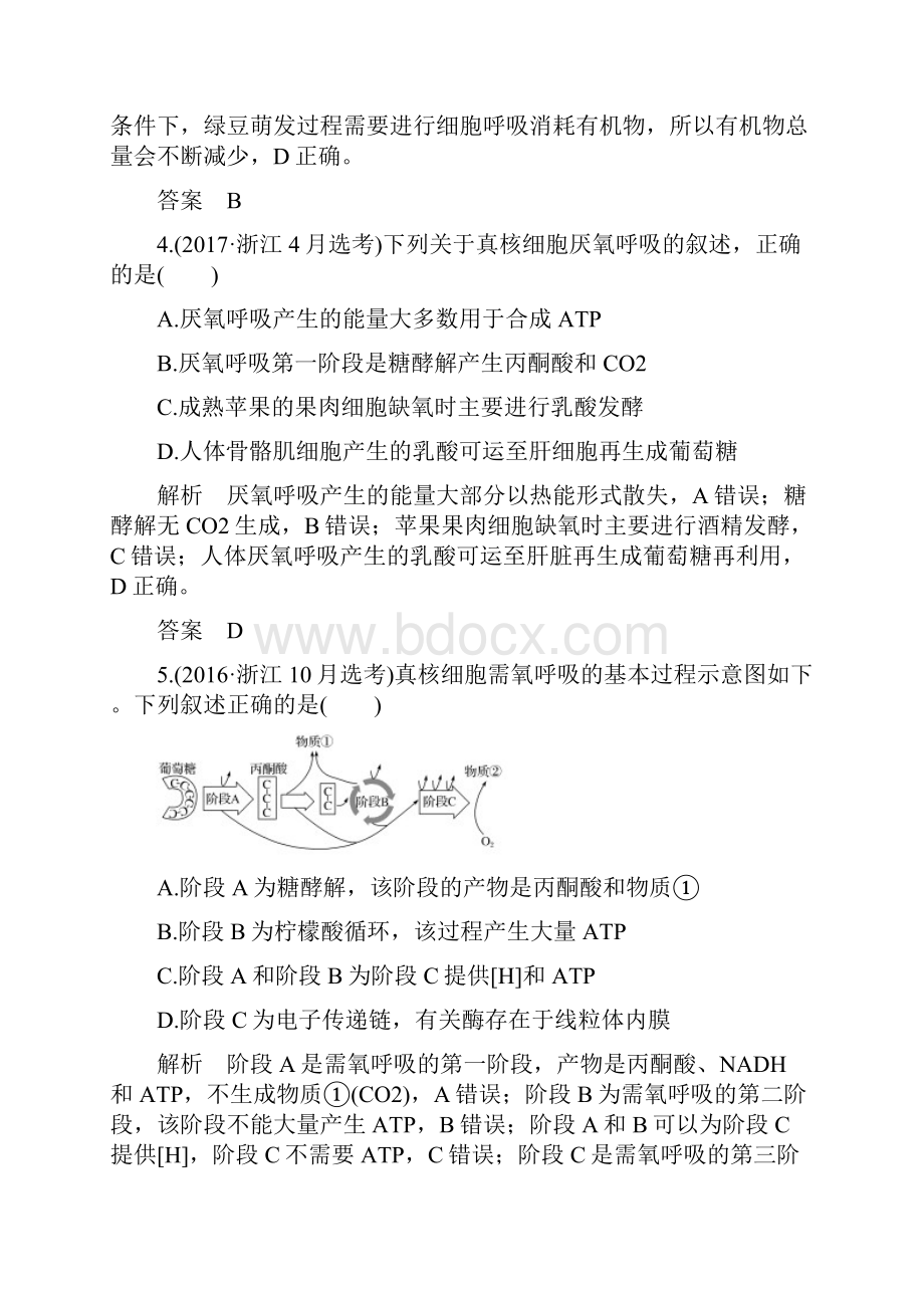 版高考生物总复习专题一细胞的代谢第3讲细胞呼吸学案.docx_第3页